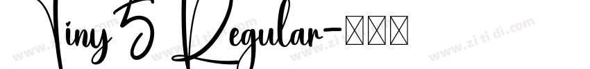 Tiny5 Regular字体转换